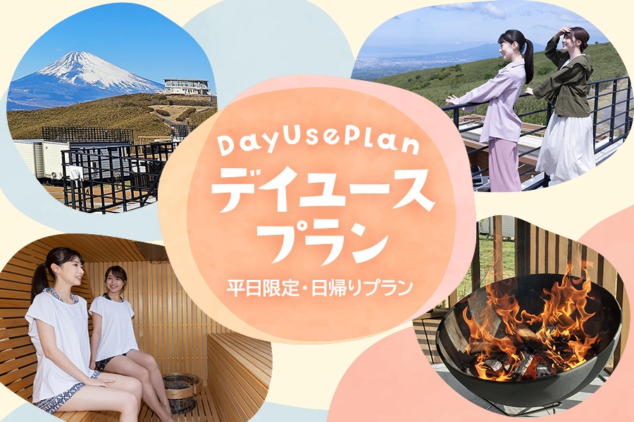 平日限定 日帰りプラン