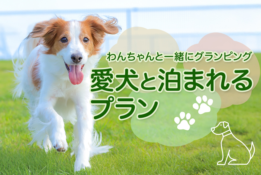 わんちゃんと泊まれるプラン